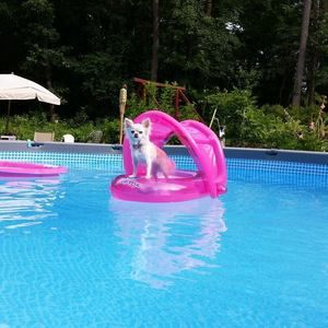 Meet your Posher, Corey